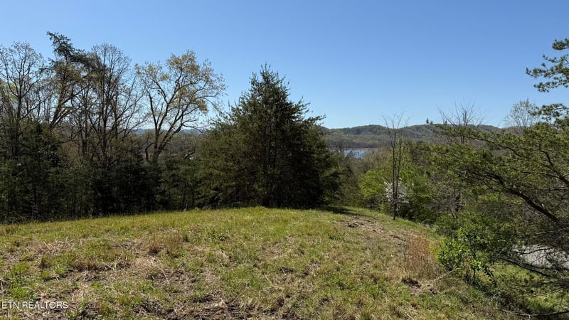 Lot 52 Bayside Blvd, Bean Station, TN 37708