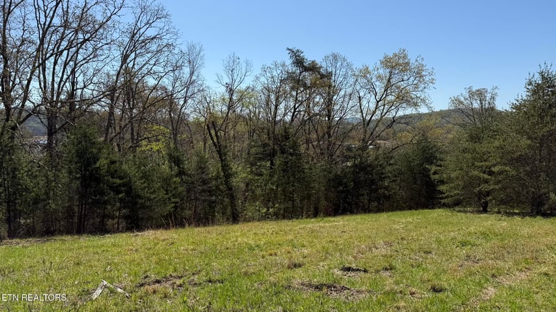 Lot 52 Bayside Blvd, Bean Station, TN 37708