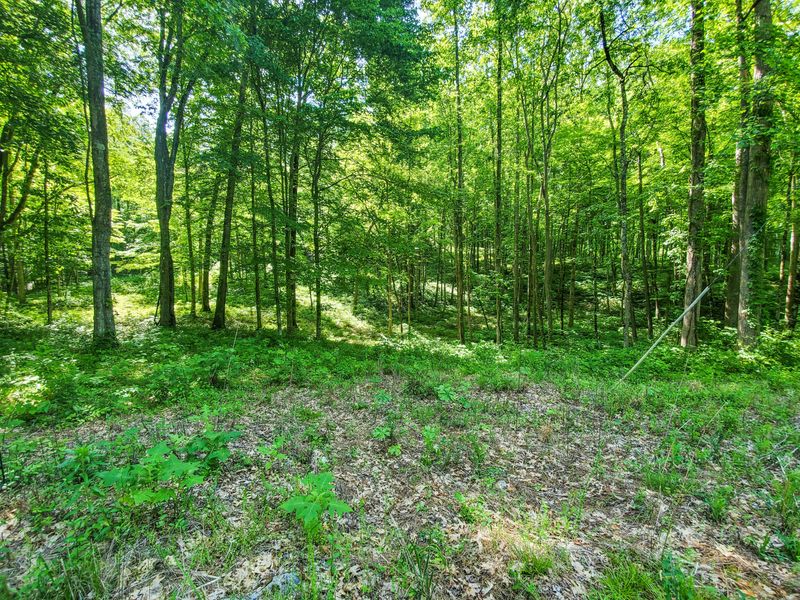 Lot 52 Beech Grove Loop, Sharps Chapel, TN 37866