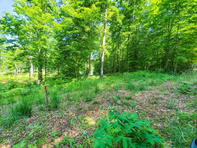 Lot 52 Beech Grove Loop, Sharps Chapel, TN 37866