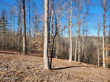 Lot 52 E Poplar Ln, Lafollette, TN 37766