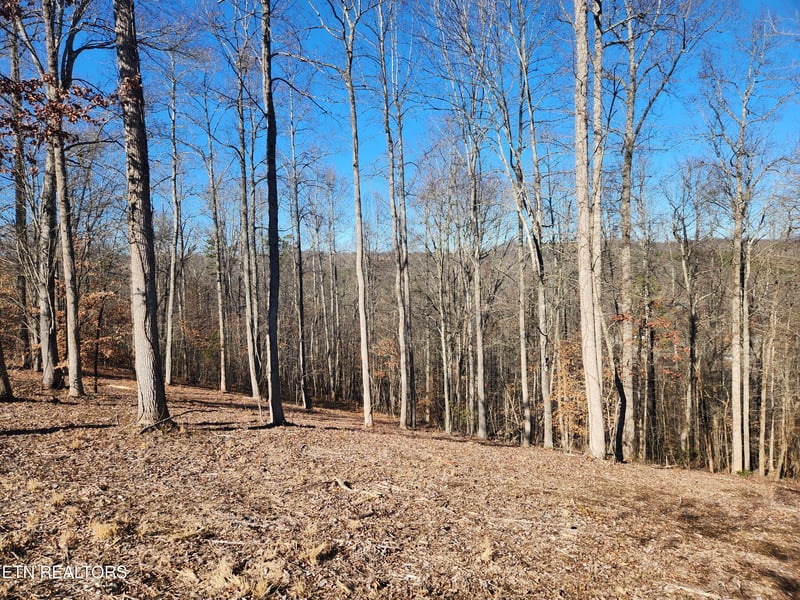 Lot 52 E Poplar Ln, Lafollette, TN 37766