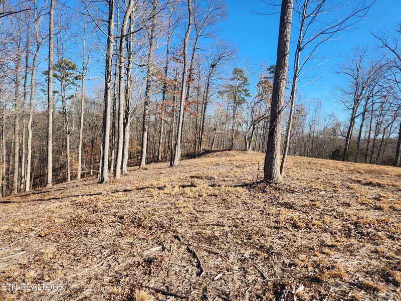 Lot 52 E Poplar Ln, Lafollette, TN 37766