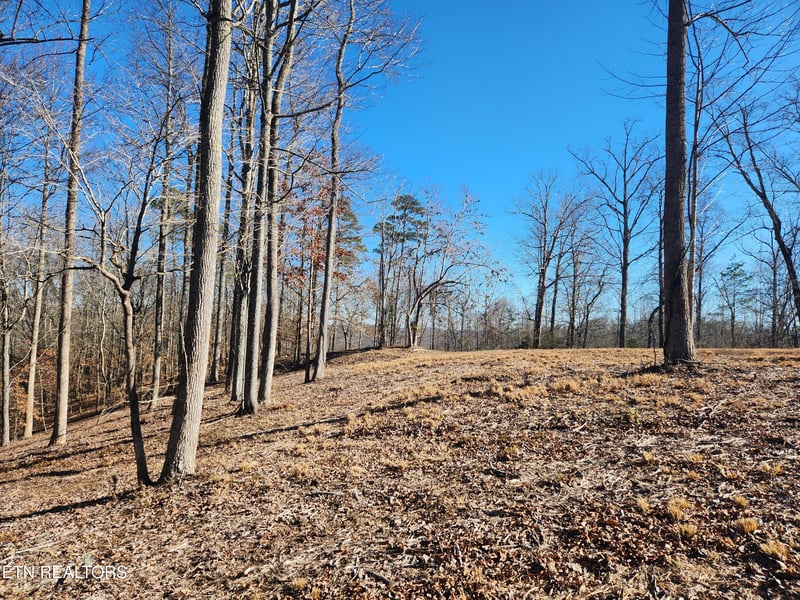 Lot 52 E Poplar Ln, Lafollette, TN 37766