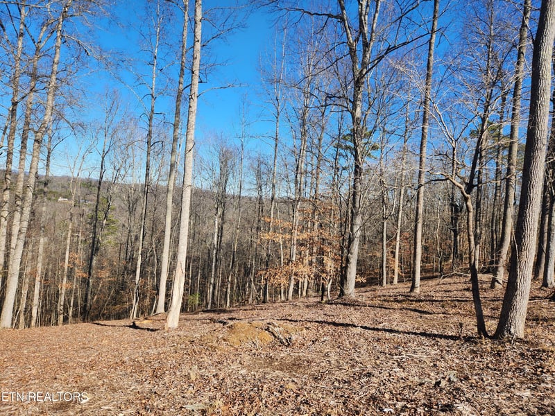 Lot 52 E Poplar Ln, Lafollette, TN 37766
