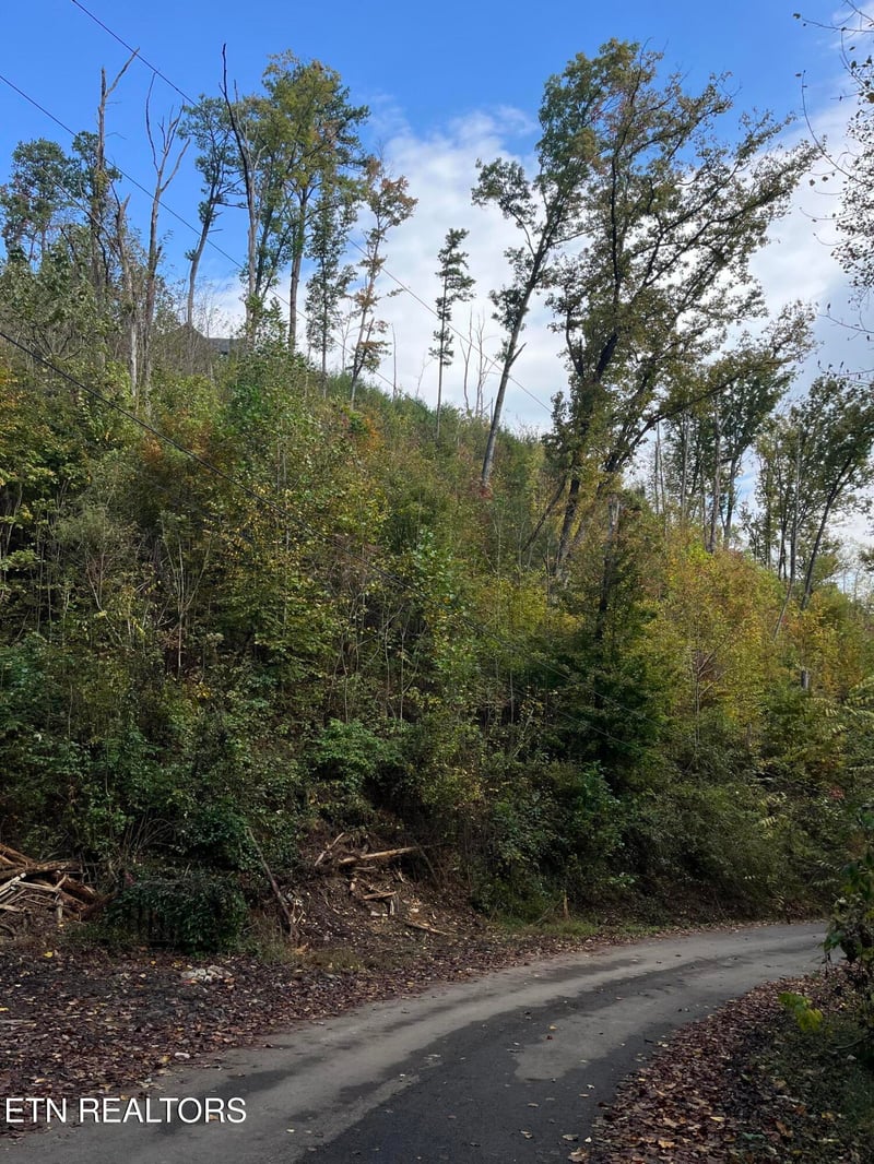 Lot 527 Deep Hollow Rd, Gatlinburg, TN 37738
