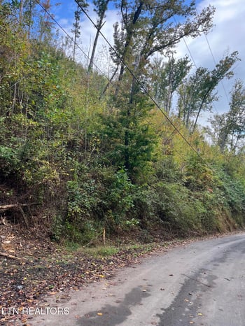 Lot 529 Deep Hollow Rd, Gatlinburg, TN 37738