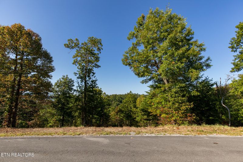 Lot 53 Misty Bluff Tr, Sevierville, TN 37862