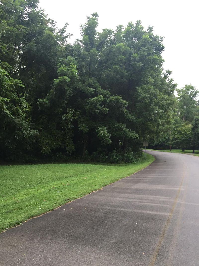 Lot 53 Old Highway 73, Townsend, TN 37882