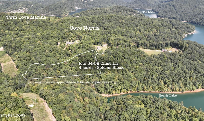 Lot 54-59 Cheri Ln, Caryville, TN 37714