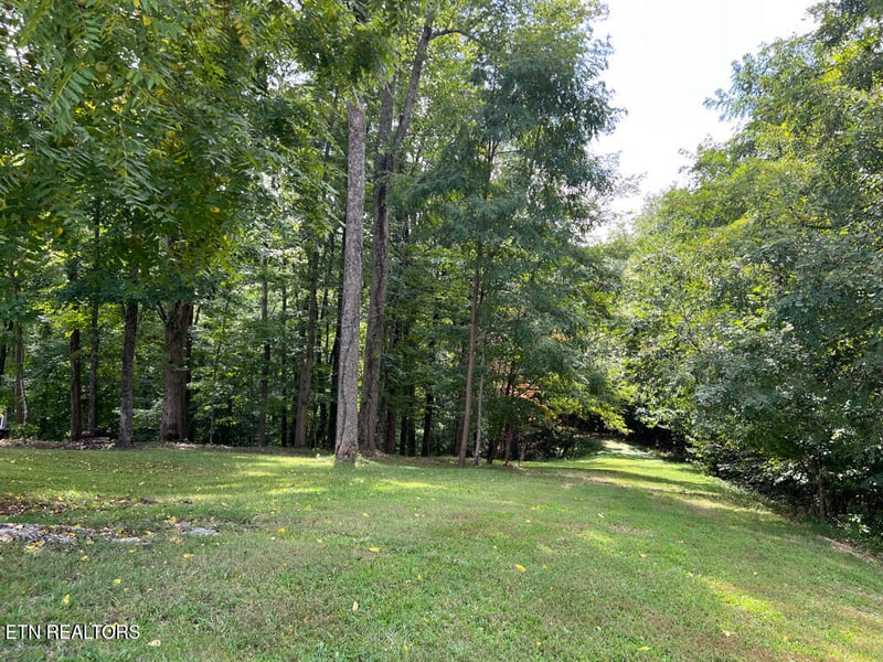 Lot 54-59 Cheri Ln, Caryville, TN 37714