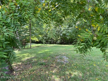 Lot 54-59 Cheri Ln, Caryville, TN 37714