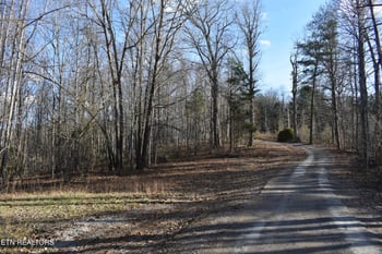 Lot 54 Bark Ln, Speedwell, TN 37870