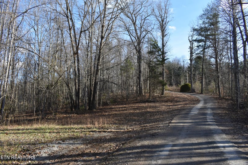 Lot 54 Bark Ln, Speedwell, TN 37870