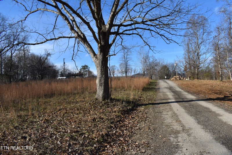 Lot 54 Bark Ln, Speedwell, TN 37870