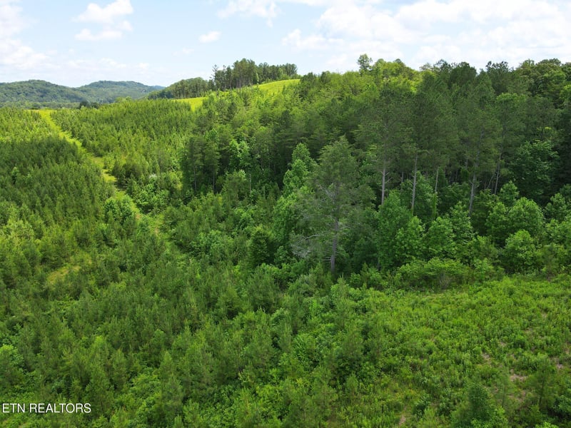 Lot 54 Three Point Rd, Vonore, TN 37885