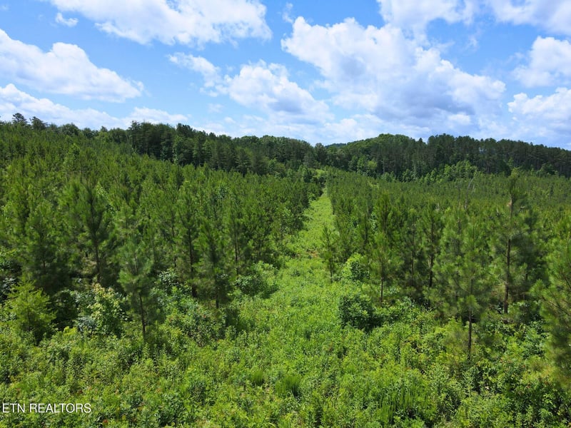 Lot 54 Three Point Rd, Vonore, TN 37885
