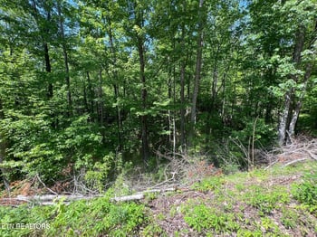 Lot 55 Butternut Ln, Sevierville, TN 37876