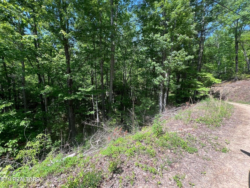 Lot 55 Butternut Ln, Sevierville, TN 37876