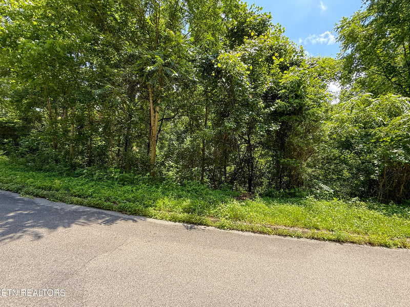 Lot 55 Oak Lake Dr, Sevierville, TN 37876