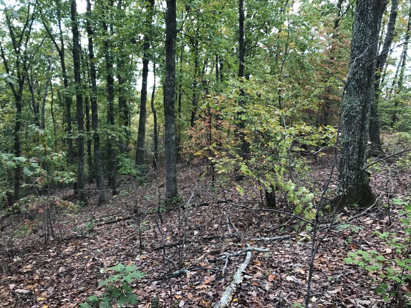 Lot 555d Morningside Dr, Oak Ridge, TN 37830