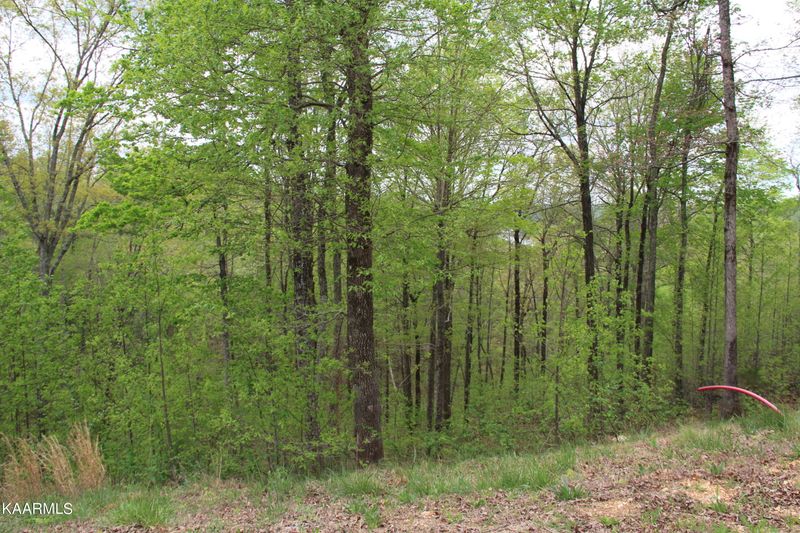 Lot 559 Summer Cir, Lafollette, TN 37766