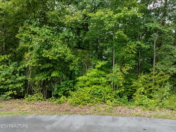 Lot 56 Blue Byrd Ln, Kodak, TN 37764