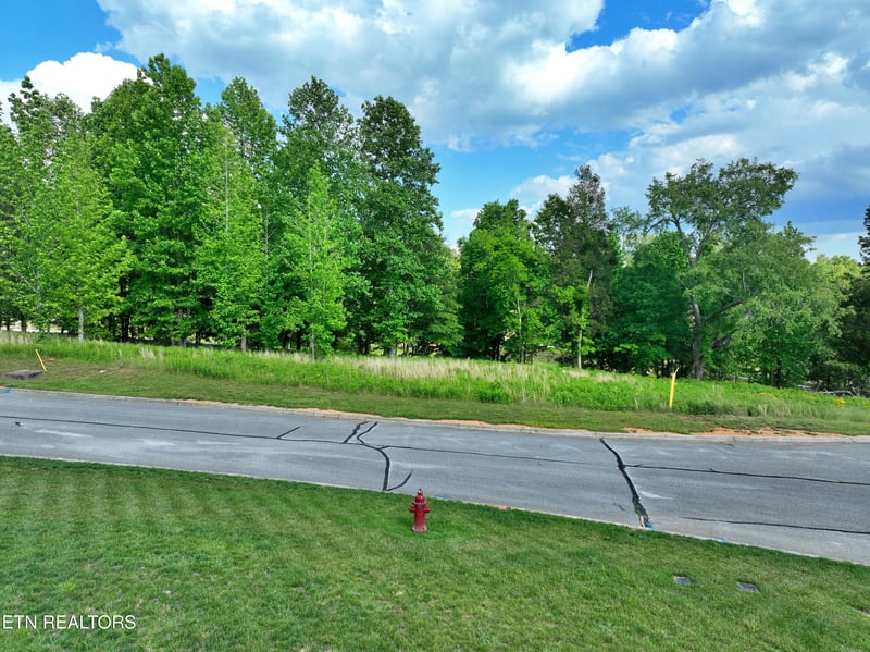 Lot 56 Blue Heron Bluff Rd, Harriman, TN 37748