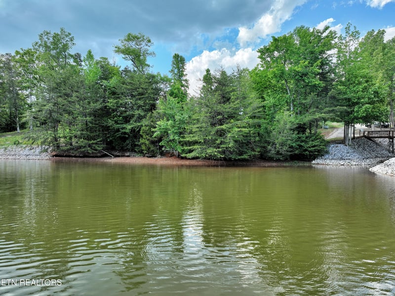 Lot 56 Blue Heron Bluff Rd, Harriman, TN 37748