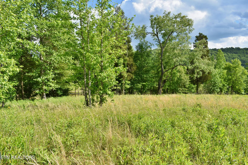 Lot 56 Blue Heron Bluff Rd, Harriman, TN 37748