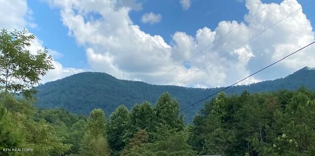 Lot 56 Mistletoe Loop, Sevierville, TN 37862