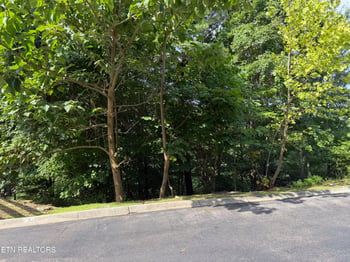 Lot 56 Smoky Ridge Way Lot 56, Sevierville, TN 37876