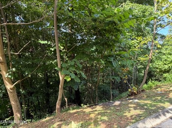 Lot 56 Smoky Ridge Way Lot 56, Sevierville, TN 37876