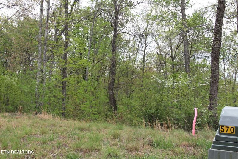 Lot 570 S Two Rivers Ln, Lafollette, TN 37766