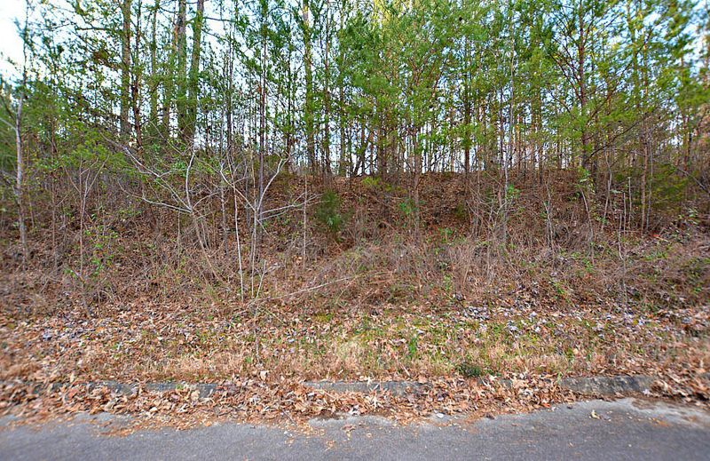 Lot 59 Mistletoe Loop, Sevierville, TN 37876