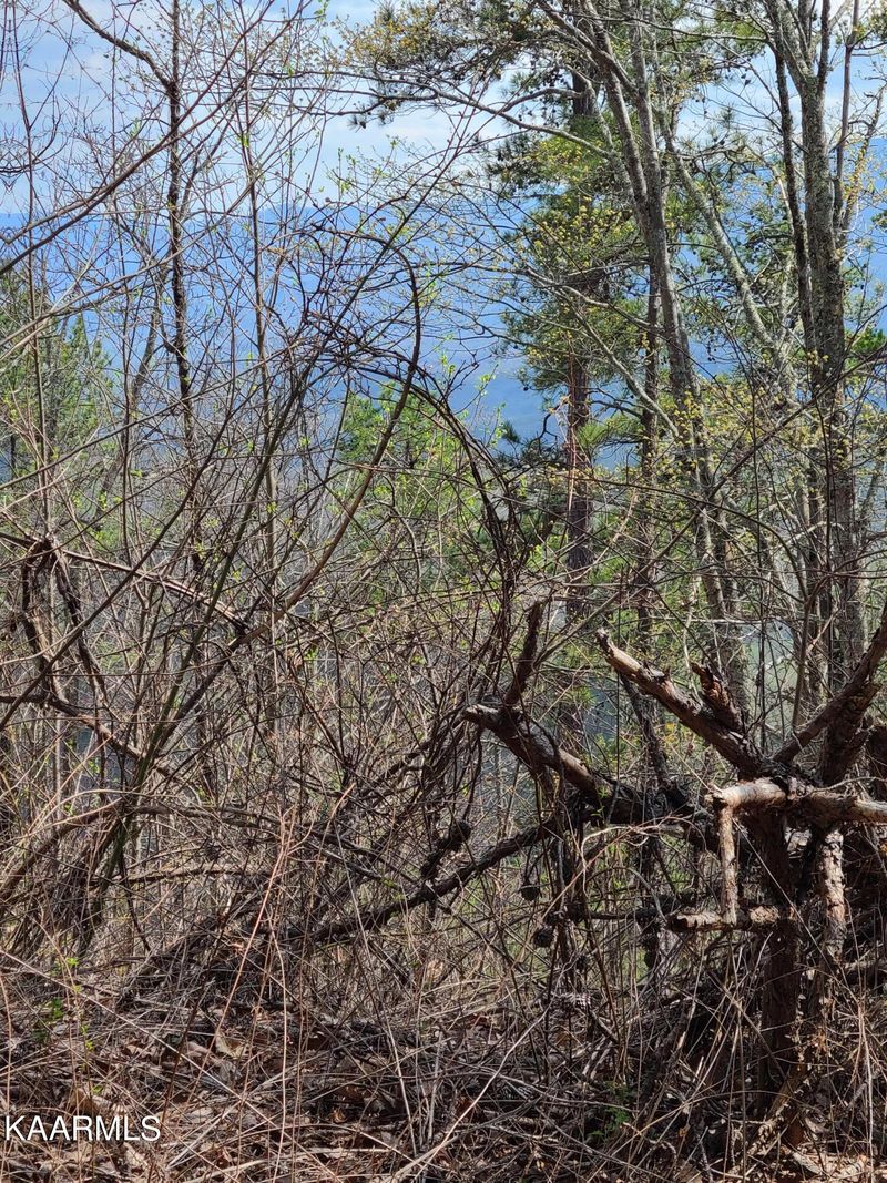 LOT 59 Silverbell, Sevierville, TN 37876