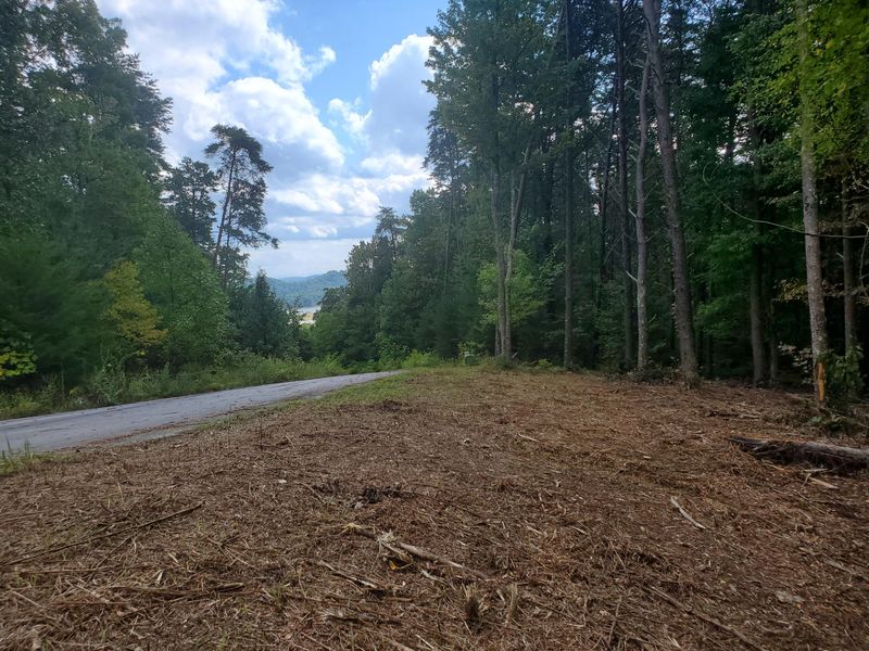 Lot 6 Bayside, Bean Station, TN 37708