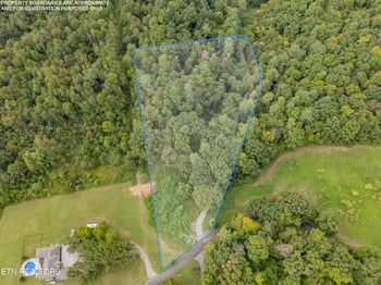 Lot 6 Black Oak Rd, Harriman, TN 37748