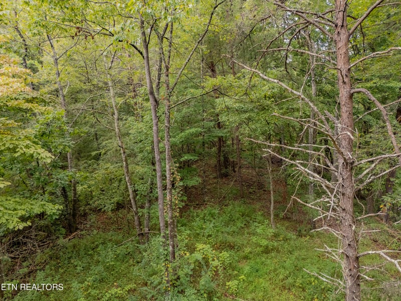 Lot 6 Black Oak Rd, Harriman, TN 37748