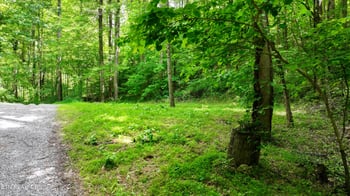 Lot 6 Covemont Ln, Sevierville, TN 37862