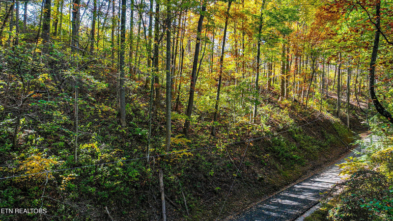 Lot 6 Emerald Springs Loop, Sevierville, TN 37862