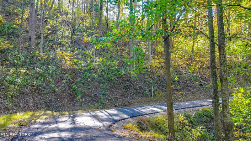 Lot 6 Emerald Springs Loop, Sevierville, TN 37862