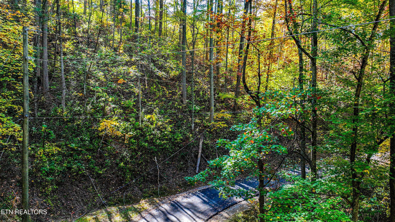 Lot 6 Emerald Springs Loop, Sevierville, TN 37862