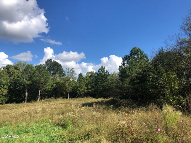 Lot 6 Foshee Rd, Loudon, TN 37774