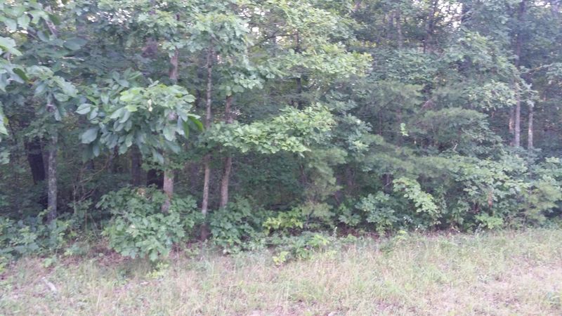 Lot 6 Indian Trl, Monterey, TN 38574