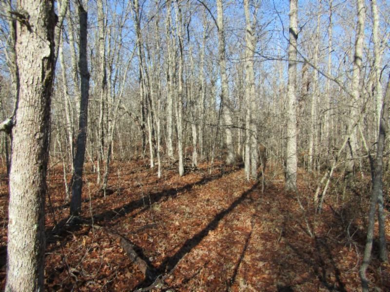 Lot 6 Indian Trl, Monterey, TN 38574