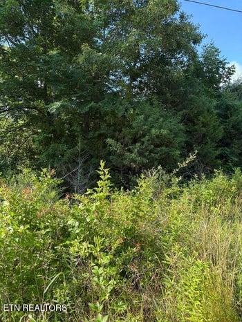Lot 6 Old Furnace Rd, Tellico Plains, TN 37385