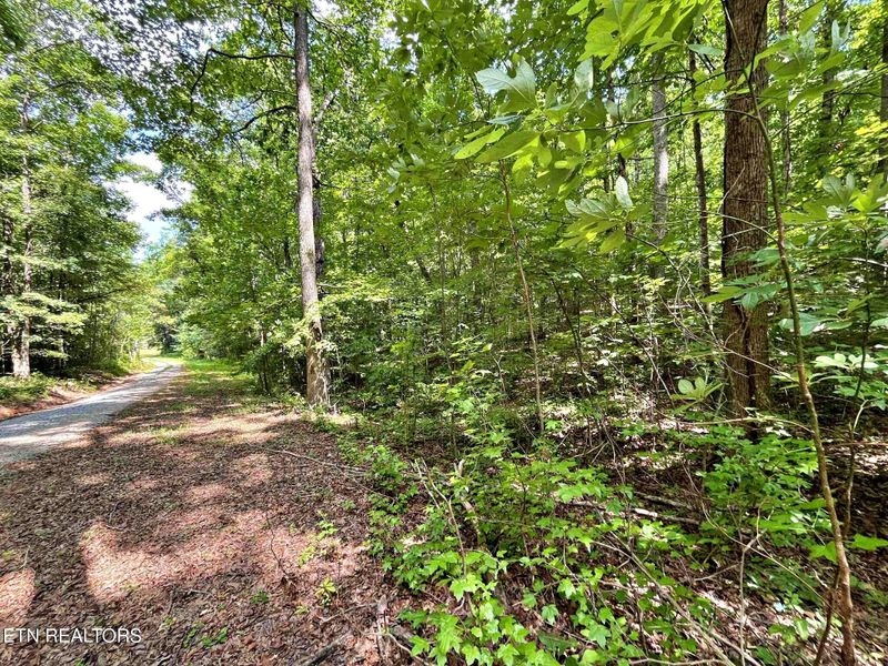 Lot 6 Raby Hollow Rd, Kingston, TN 37763