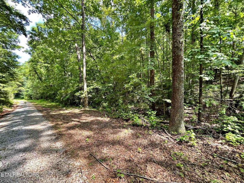 Lot 6 Raby Hollow Rd, Kingston, TN 37763