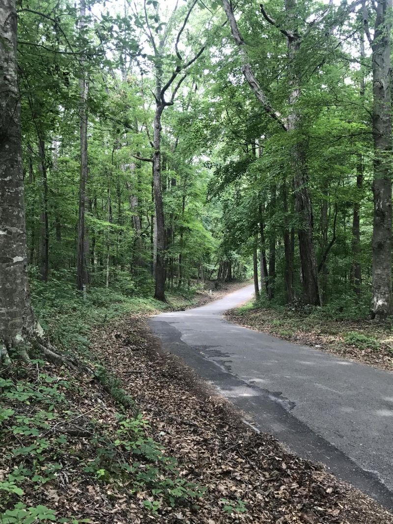 Lot 6 Rocky Top Rd, Lenoir City, TN 37772